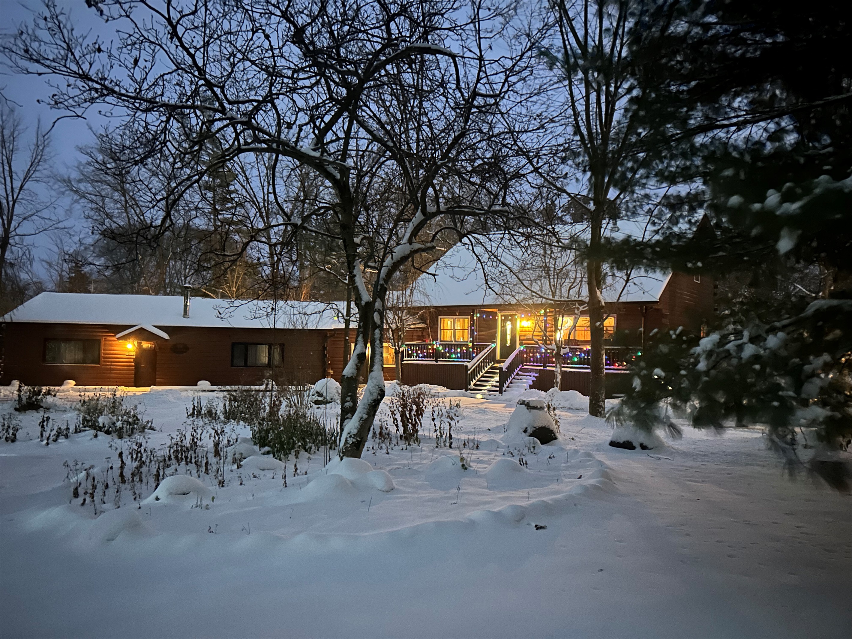 Fresh snow makes everything look more special.