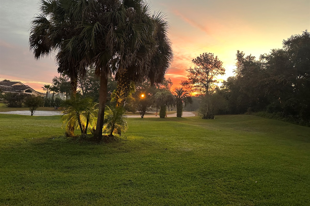 View of front yard and sunrise