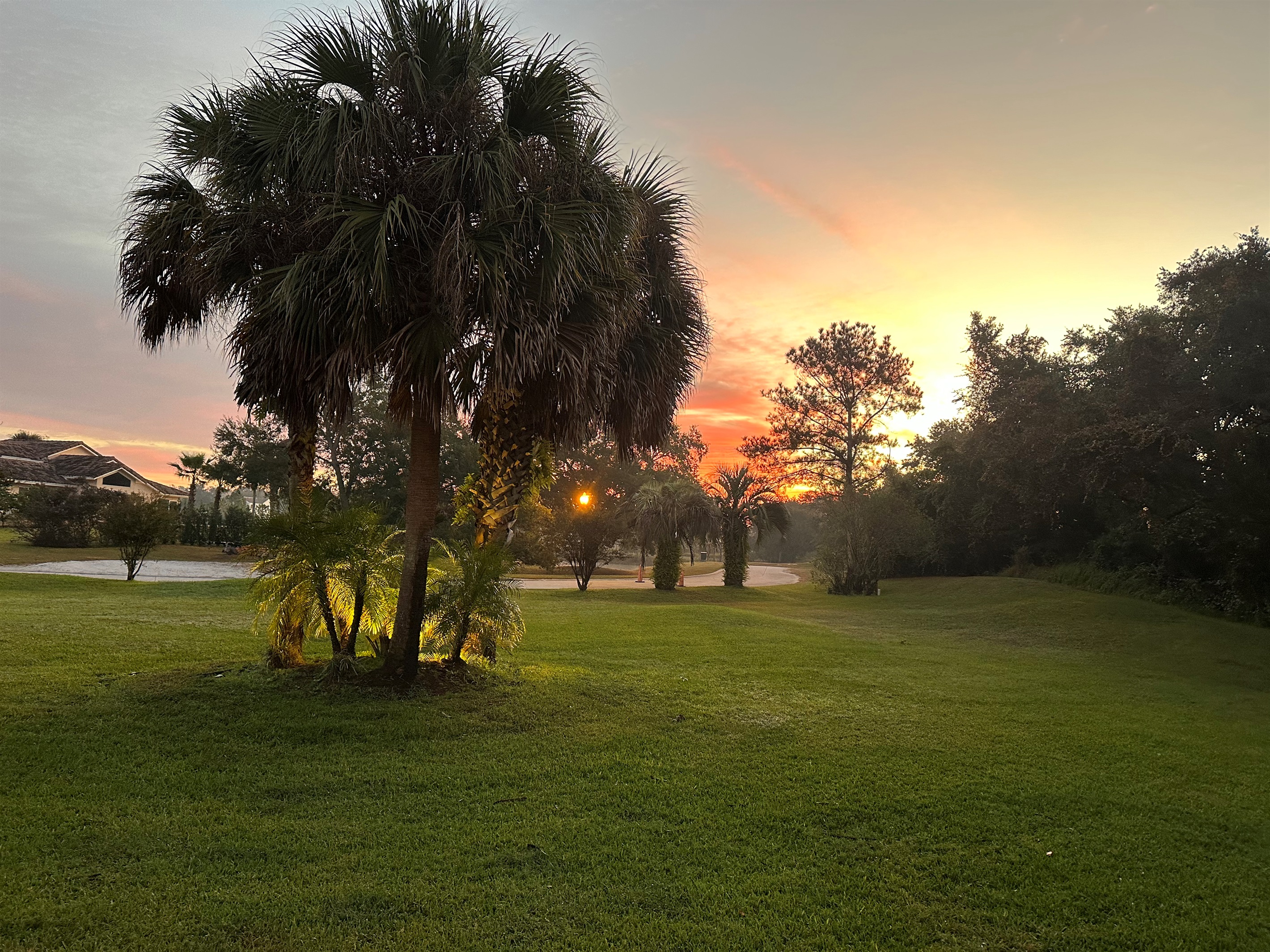 View of front yard and sunrise