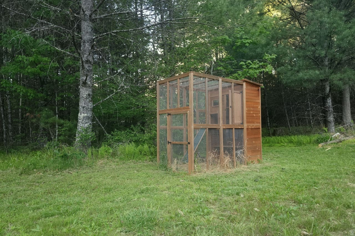 We offer a catio for feline guests. No cats in the tiny house please! 