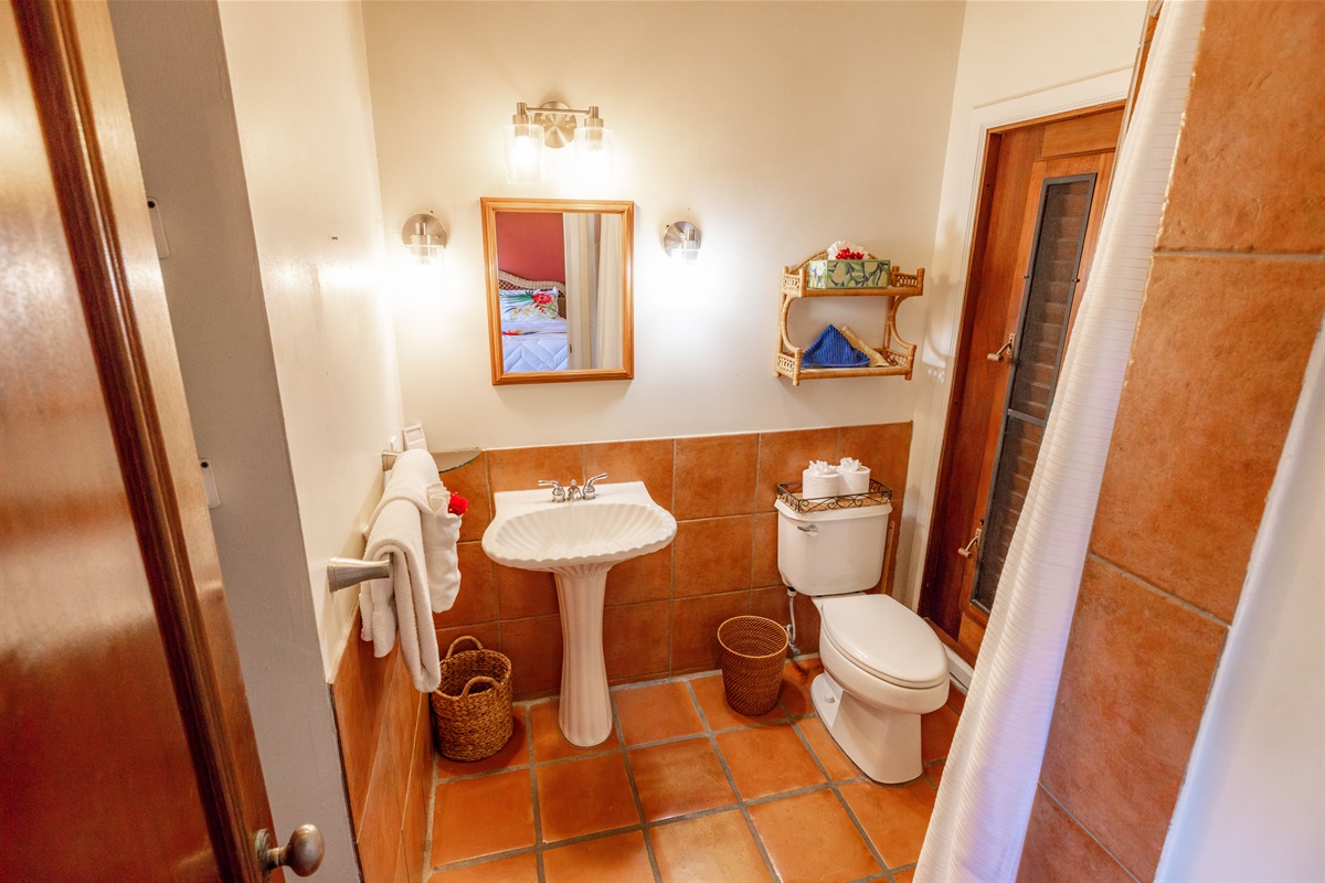 Guest suite 4 ensuite bathroom