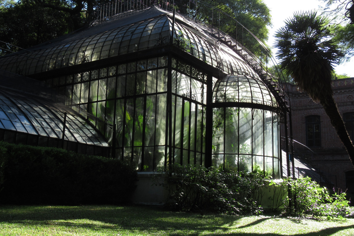 Palermo Botanical Garden.
Pedro Felipe. https://commons.wikimedia.org/wiki/File:2019_Buenos_Aires_-_Invernadero_del_Jardín_Botánico.jpg
https://creativecommons.org/licenses/by-sa/4.0/