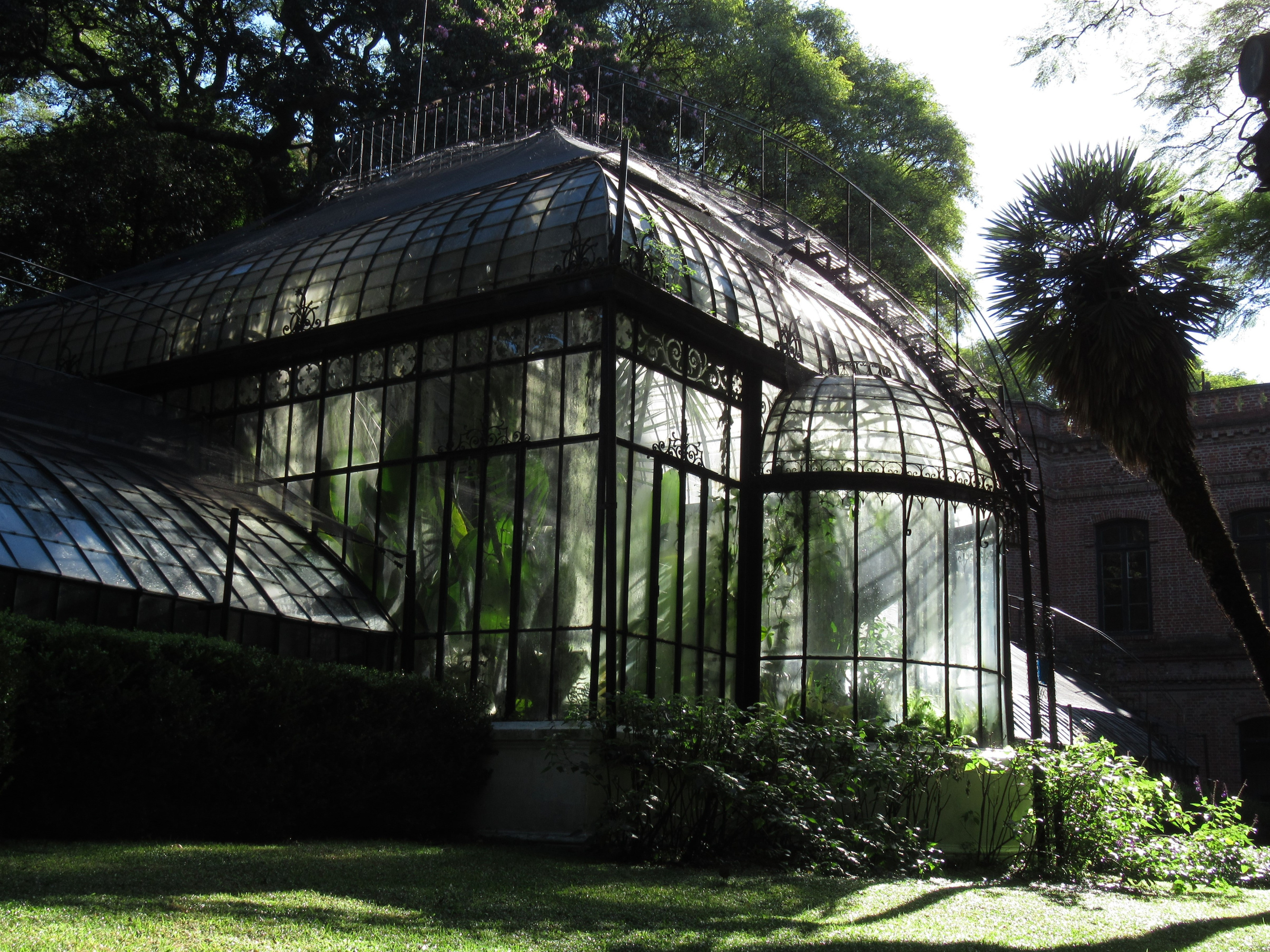 Palermo Botanical Garden.
Pedro Felipe. https://commons.wikimedia.org/wiki/File:2019_Buenos_Aires_-_Invernadero_del_Jardín_Botánico.jpg
https://creativecommons.org/licenses/by-sa/4.0/