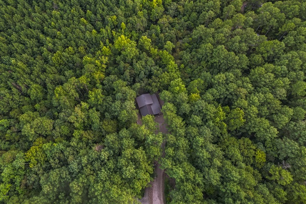 Tucked into the forest, you'll feel totally secluded.