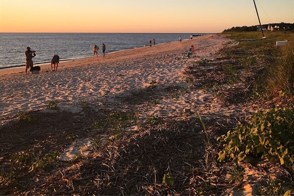 Enjoy the expansive sandy shoreline and calm ocean waves, making it the perfect spot for a tranquil walk or unwind by the water's edge.