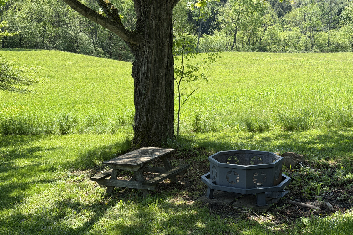 Fire pit in backyard with kids picnic table