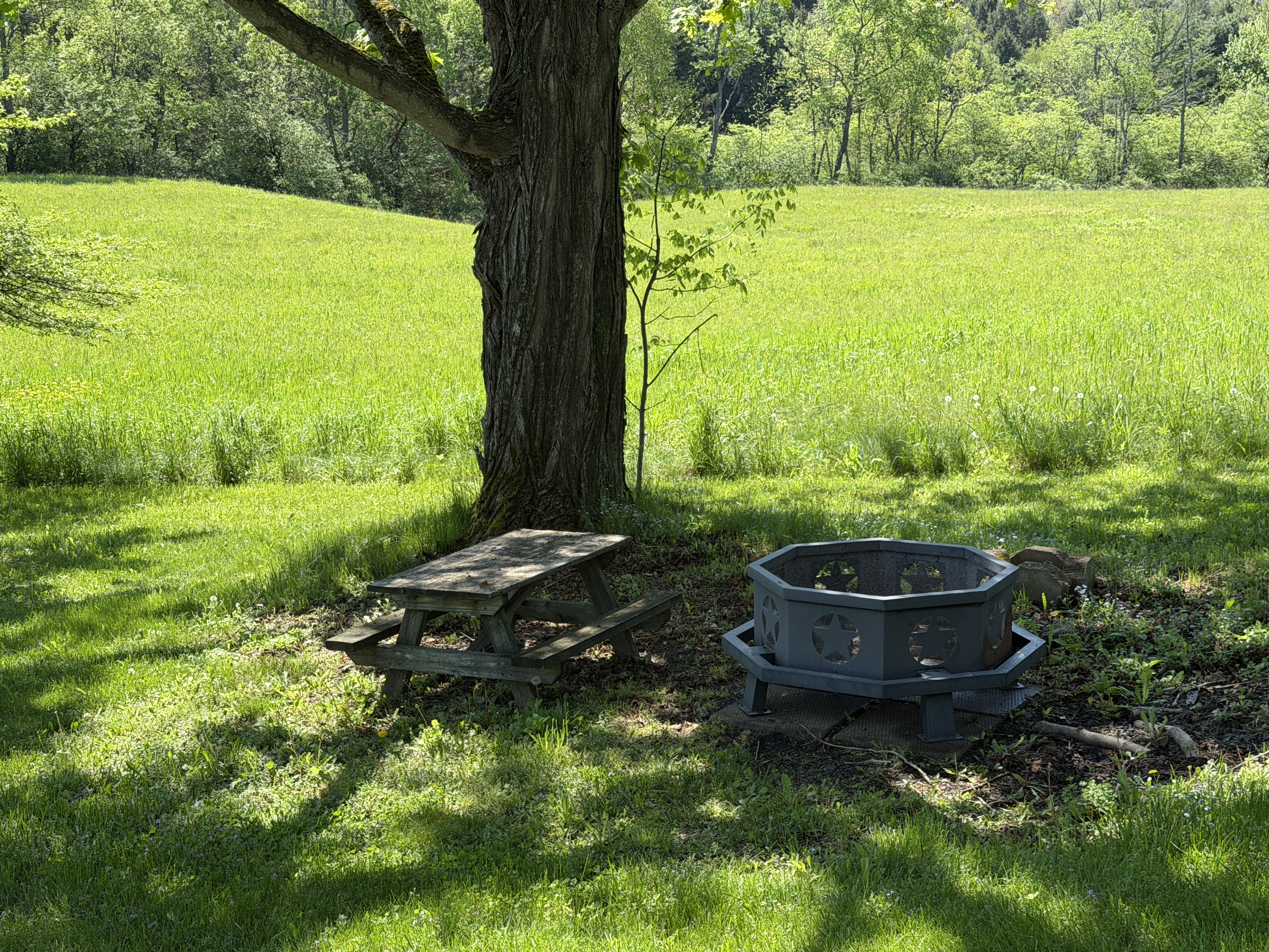 Fire pit in backyard with kids picnic table