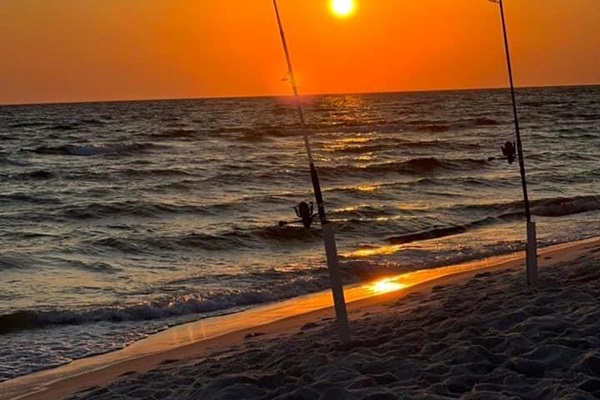 Surf Fishing