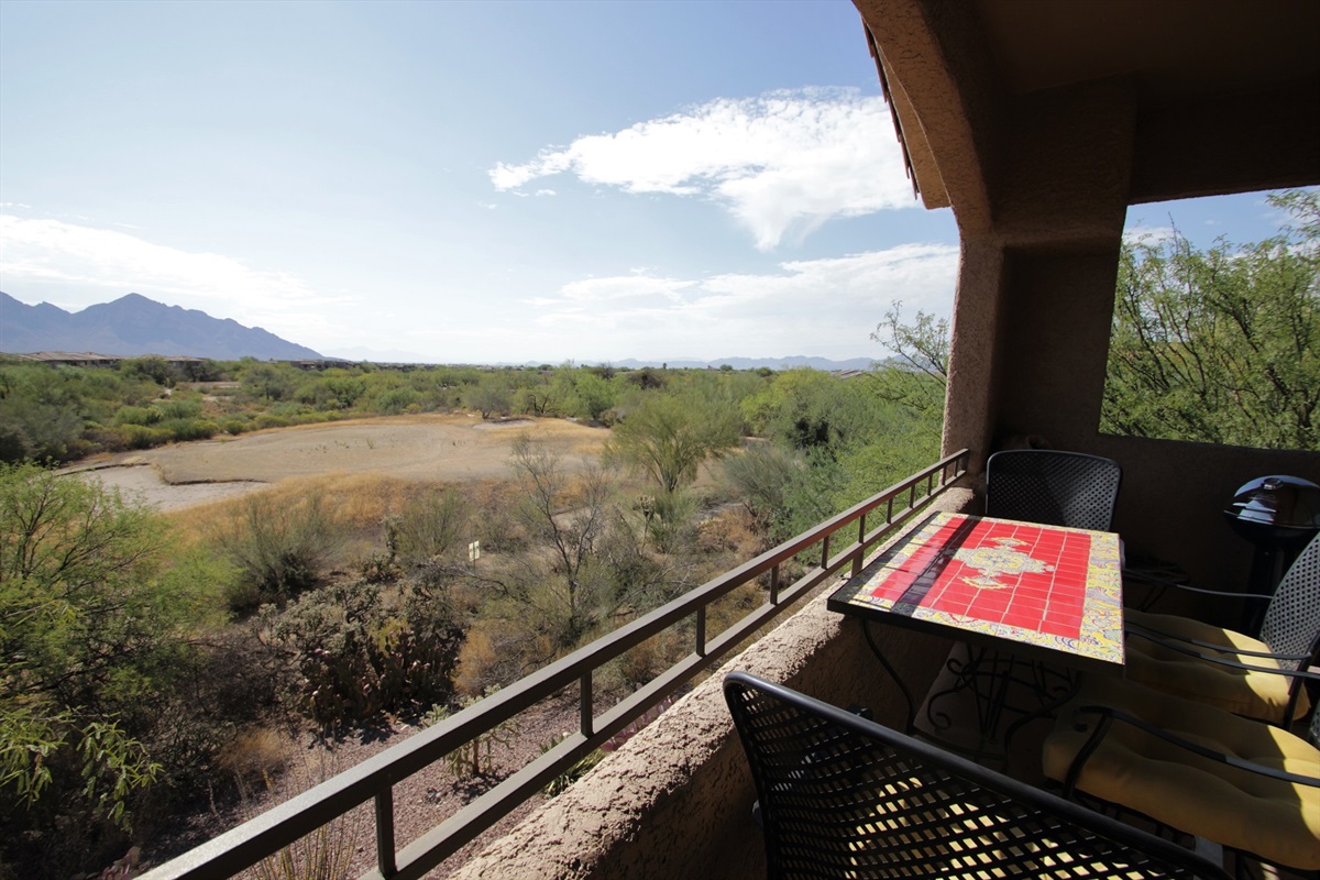 Patio view