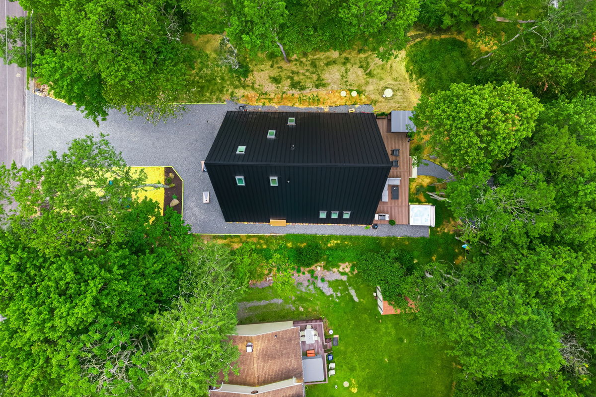 Black roof in a green canopy