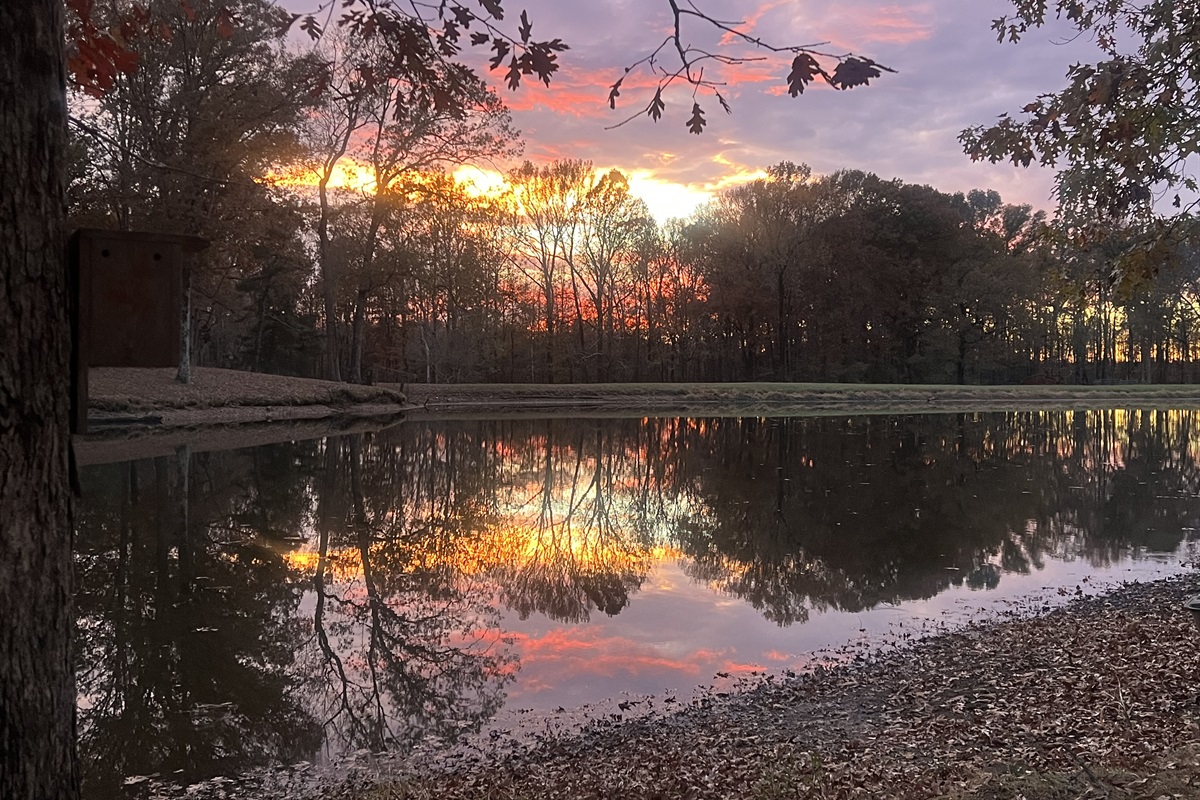 Beautiful sunsets by the lake