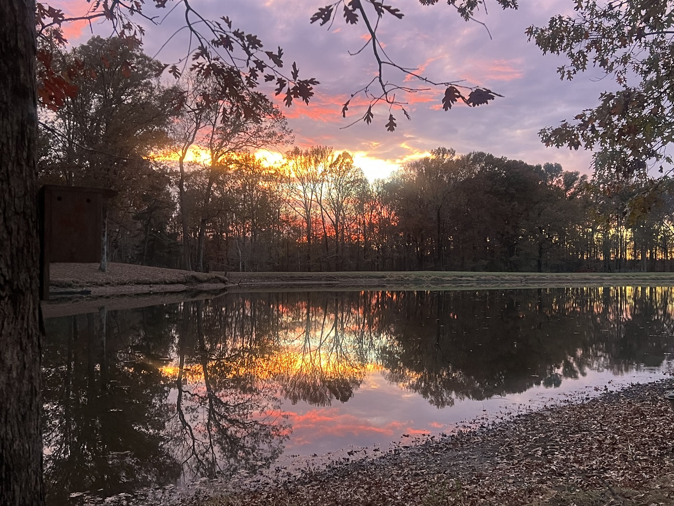 Beautiful sunsets by the lake