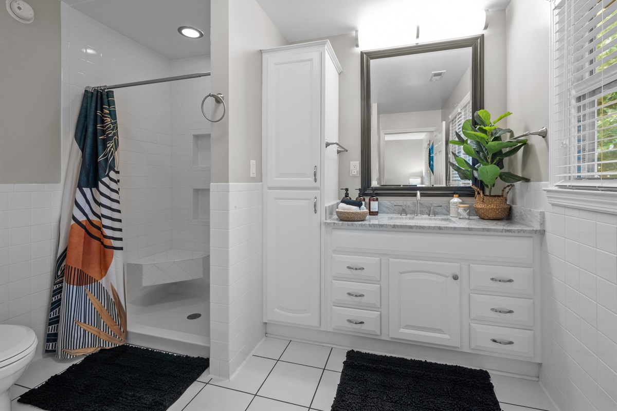 Master bathroom walk-in shower