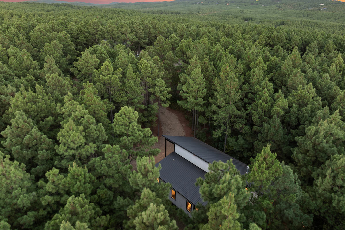 Surrounded by forest, Cedar Stillness feels tucked away from the rush, giving you the privacy and quiet guests come here to find.