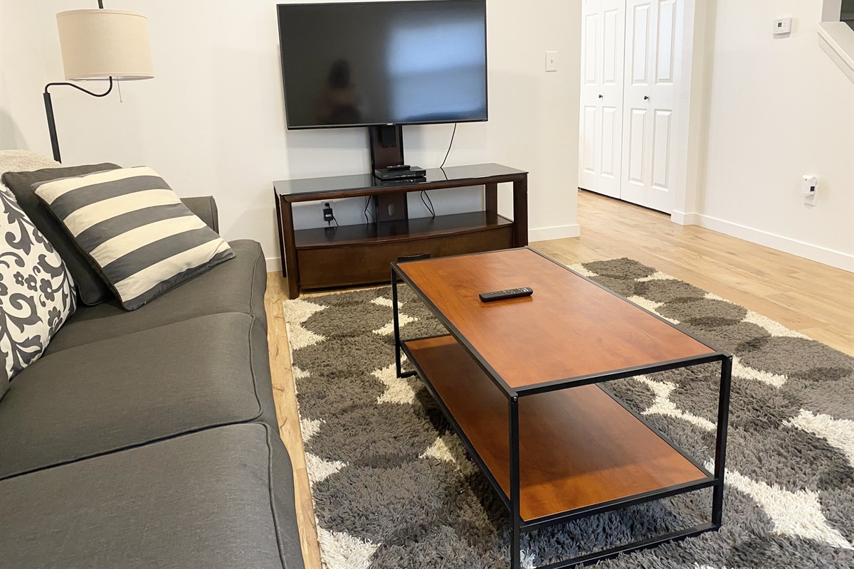 Living room with 50' smart tv