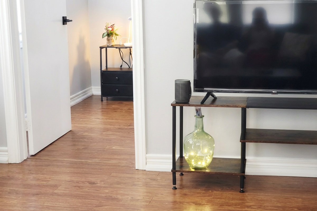 Door to separate workspace from Living room TV... 