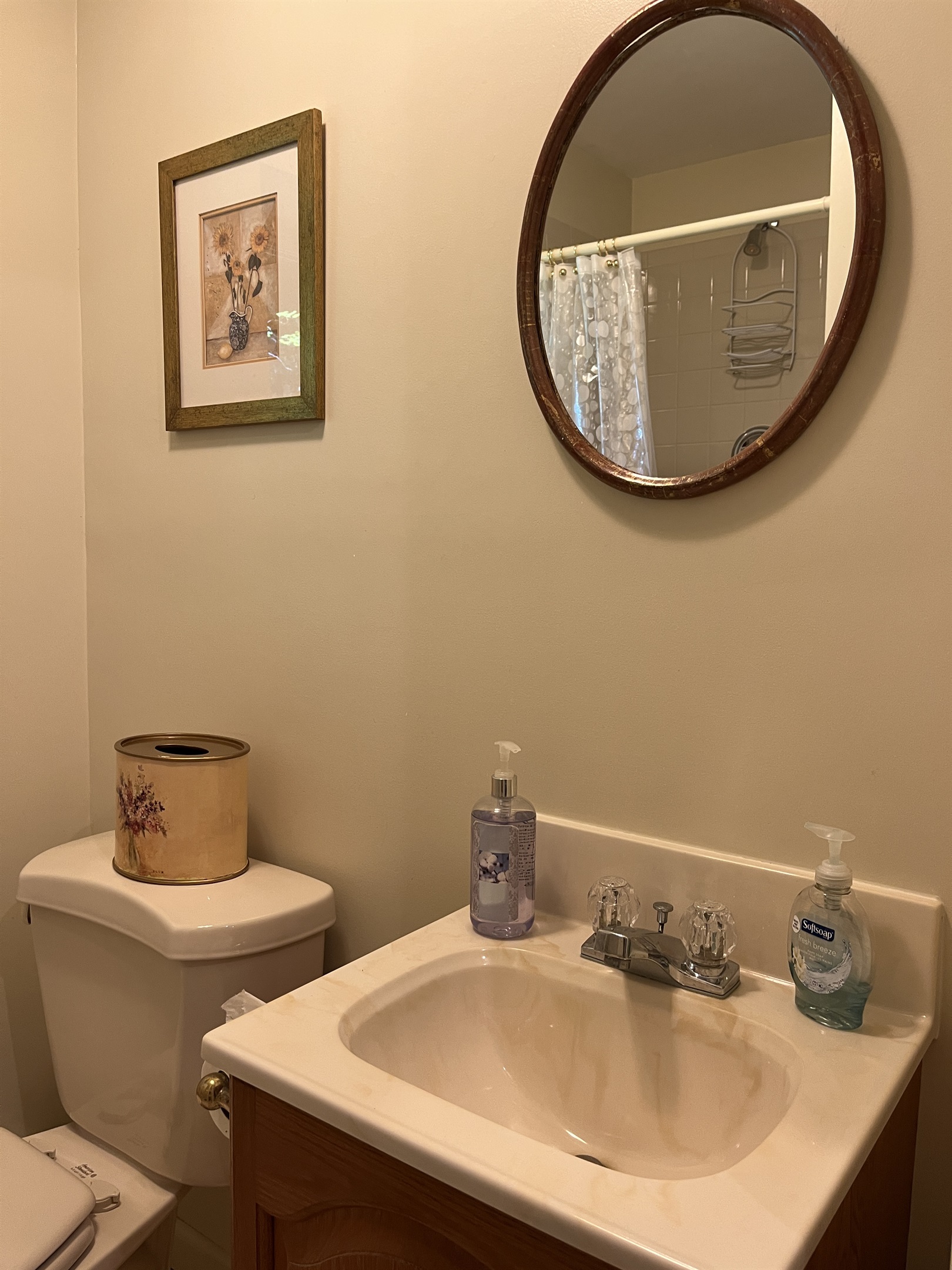 Lower level bathroom w/ shower