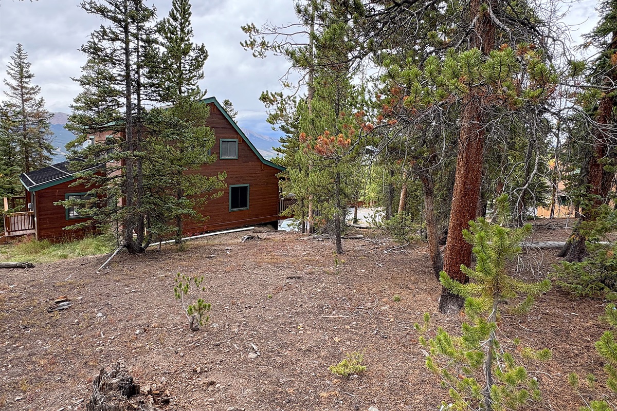 Backside exterior with lots of room to play