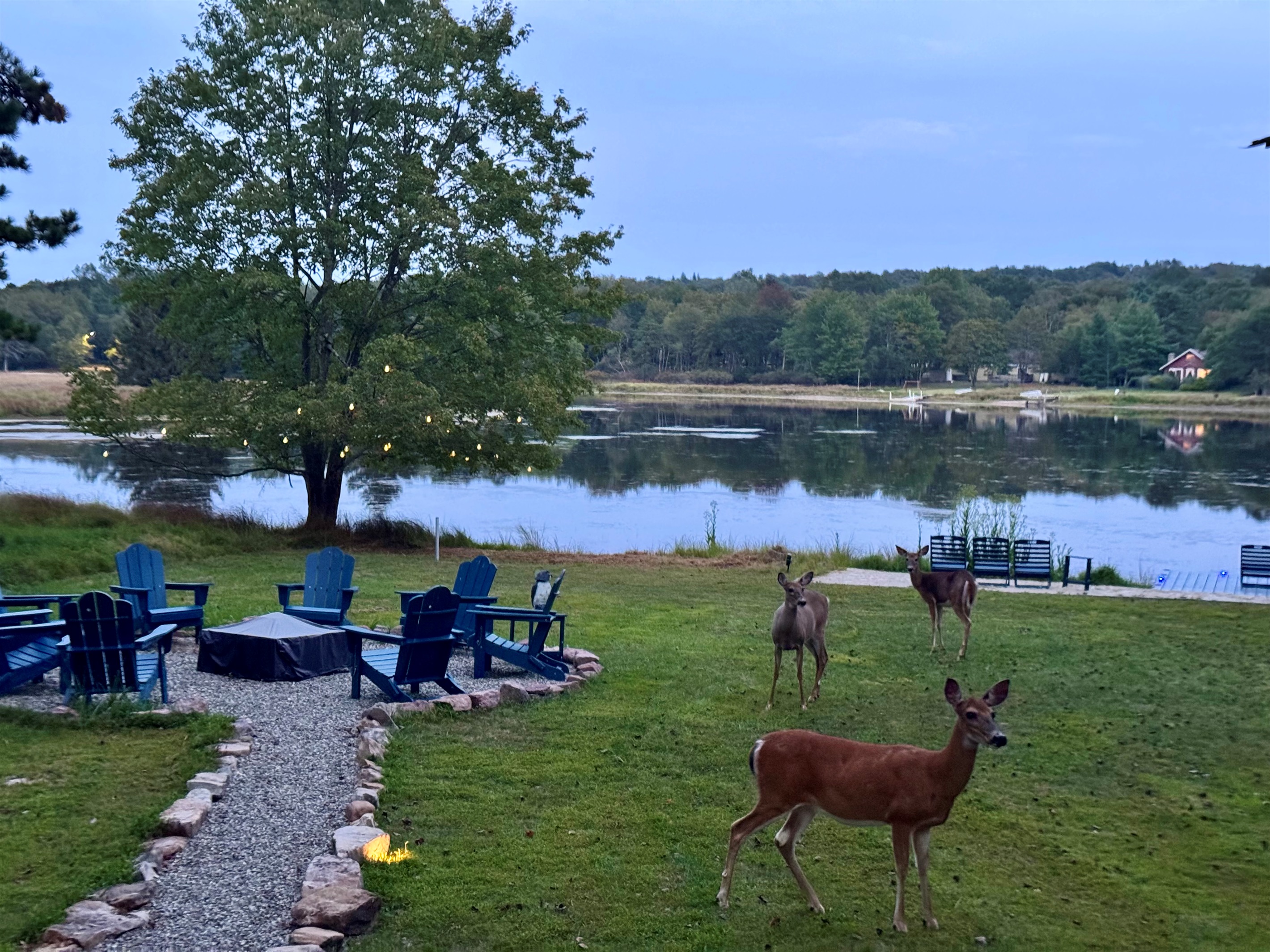 The day ends here — your family will remember this peace long after checkout.