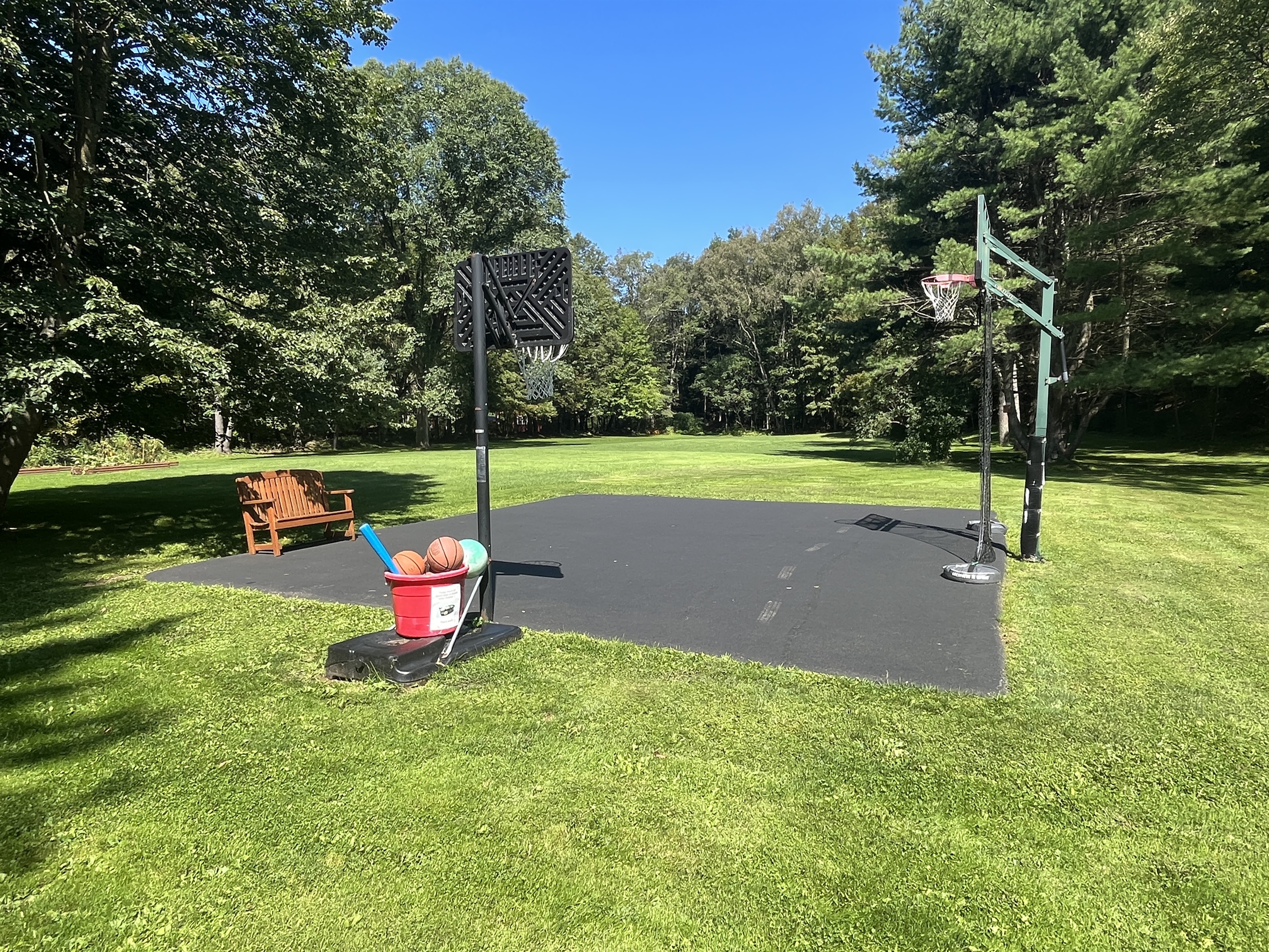Basketball hoop and plenty of yard space