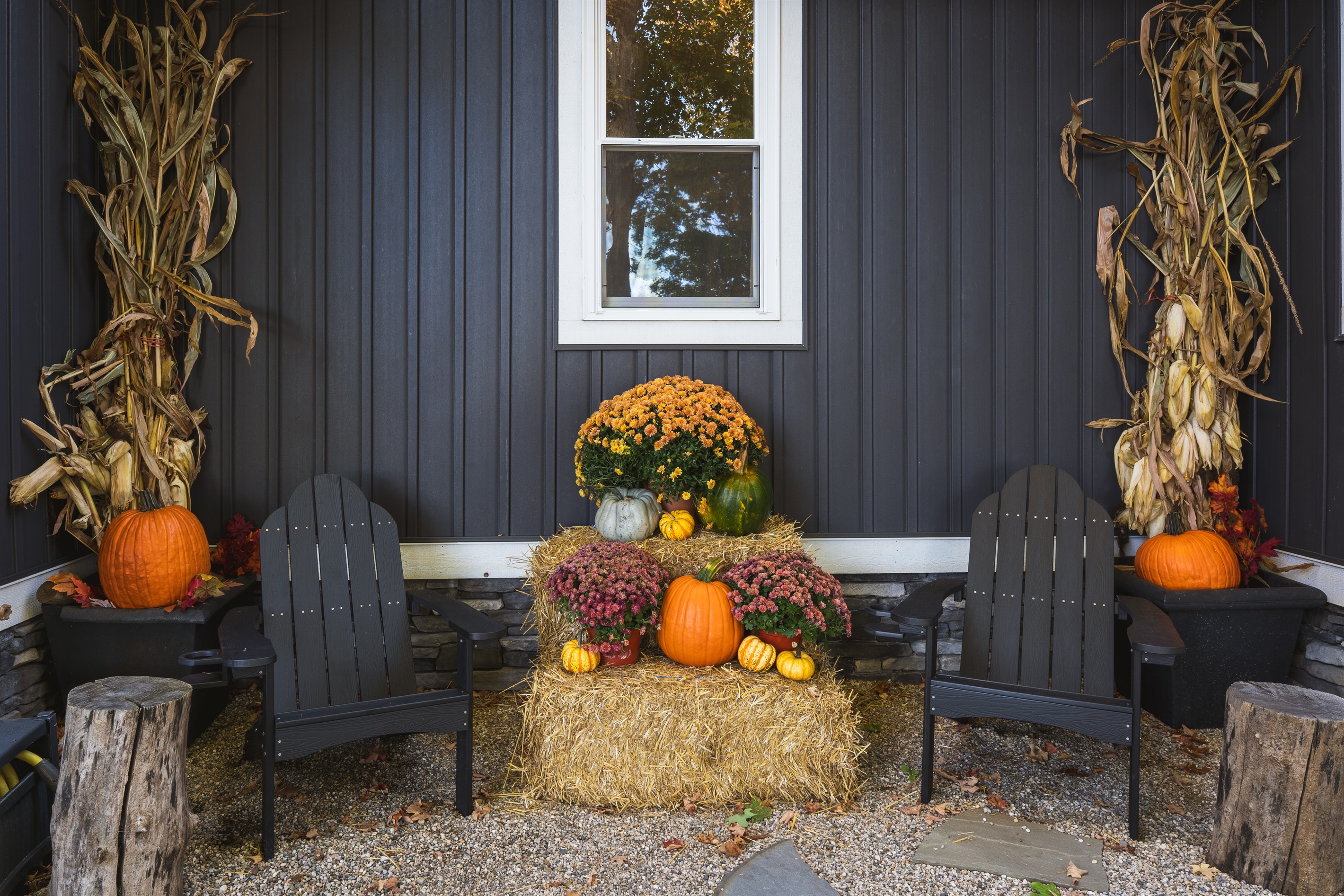 Autumn vibes