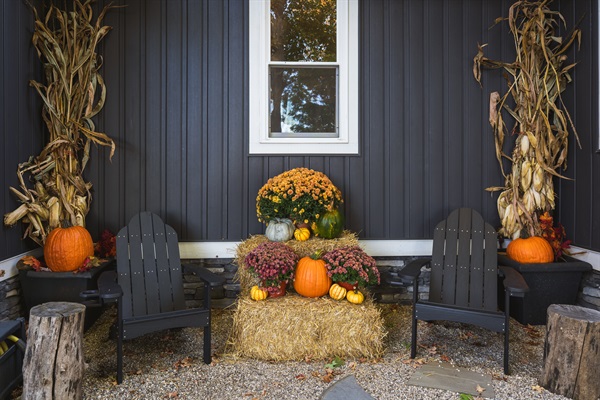 Autumn vibes