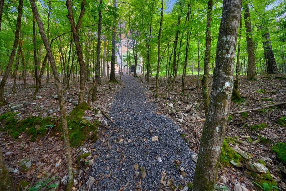 A gravel path will lead you to the creek area at the bottom of the hill.