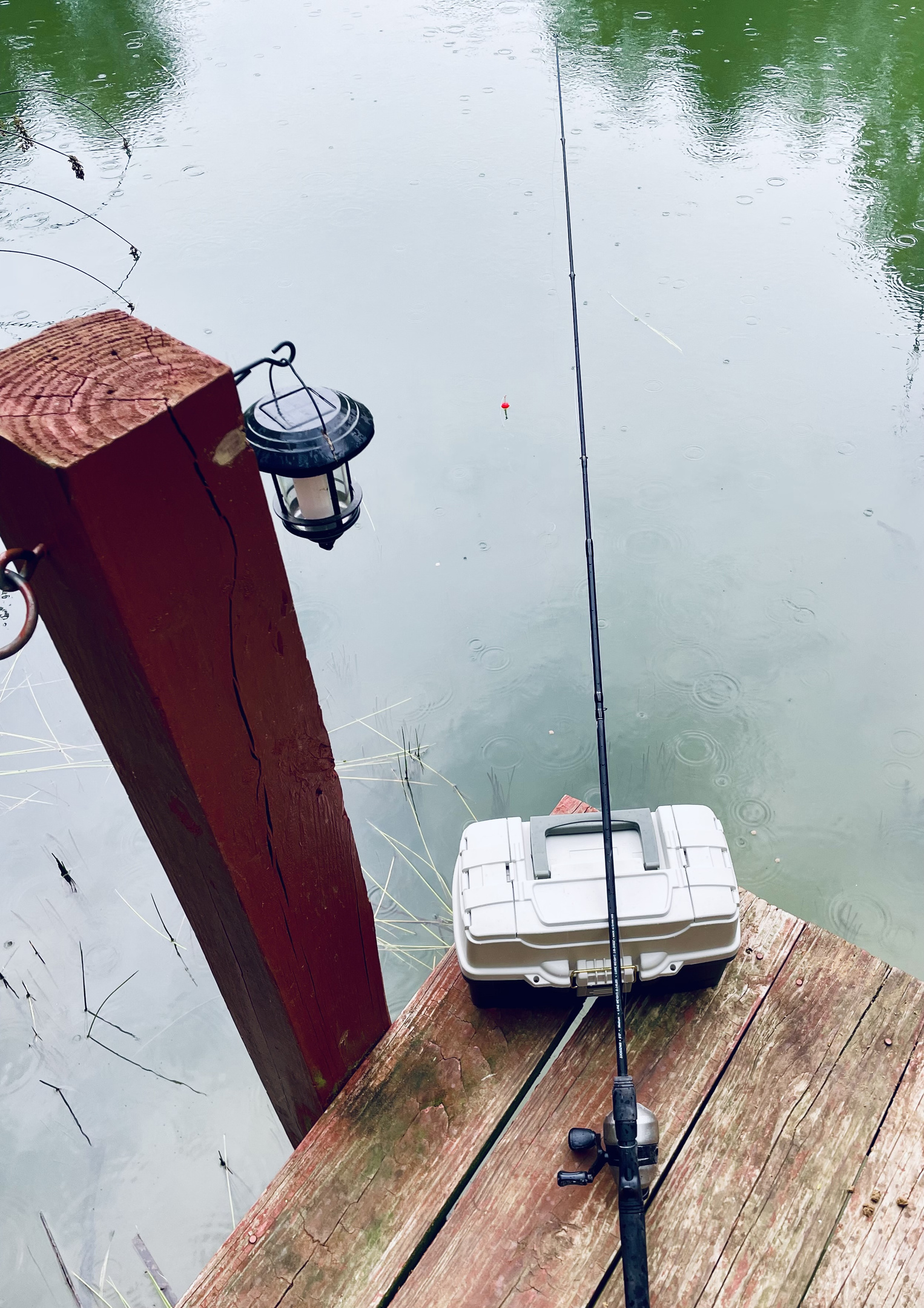 Whether it’s your kids first fish or Dad’s favorite morning coffee spot, the pond is a Family Favorite for sure!🐟