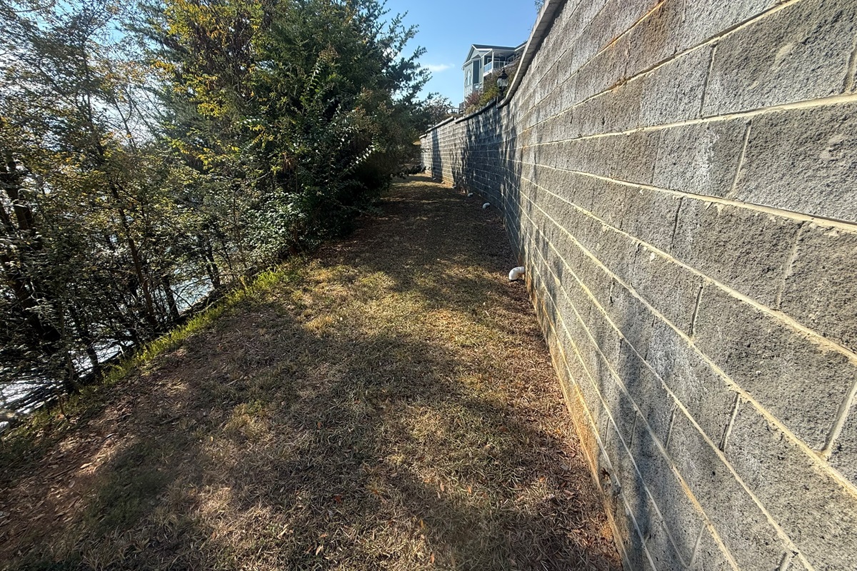 Walkway around the 4 acres along the lake, heading back to the house