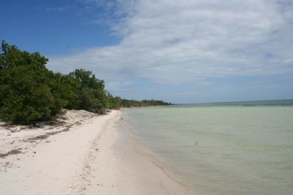 Coco Plum Beach, 9 miles from Salt & Sky