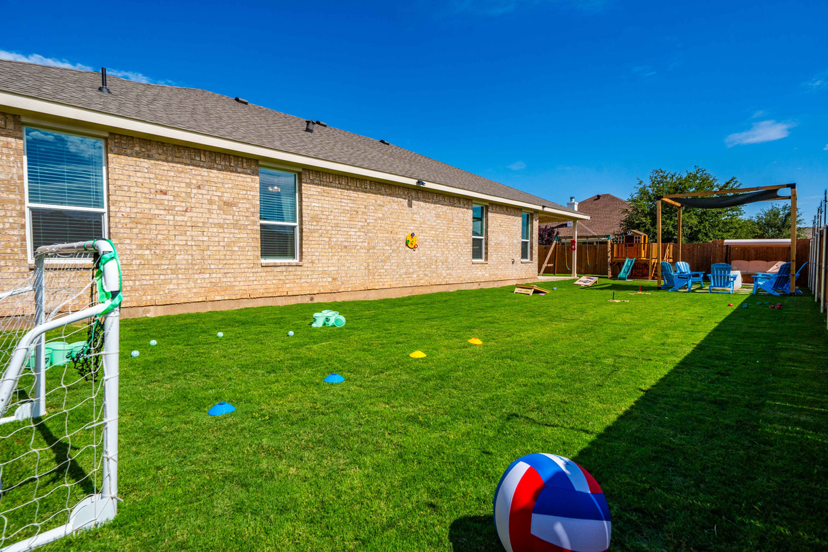 Backyard