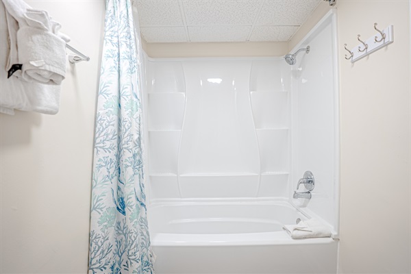 Master tub/shower combo