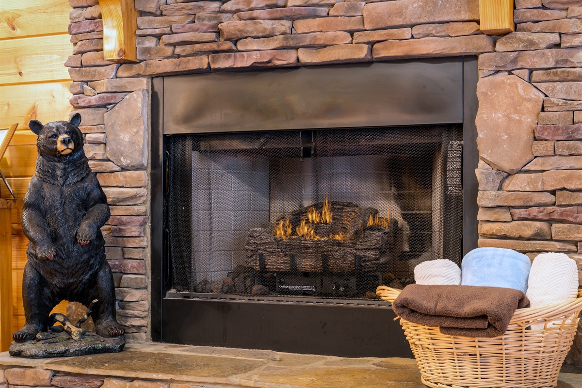 Easy peasy fireplace with timer. Simply press the desired time on the wall timer located to the right of the fireplace. In case the pilot light is out, turn knob to pilot and press the starter button a few seconds until it comes back on. Or text for help.