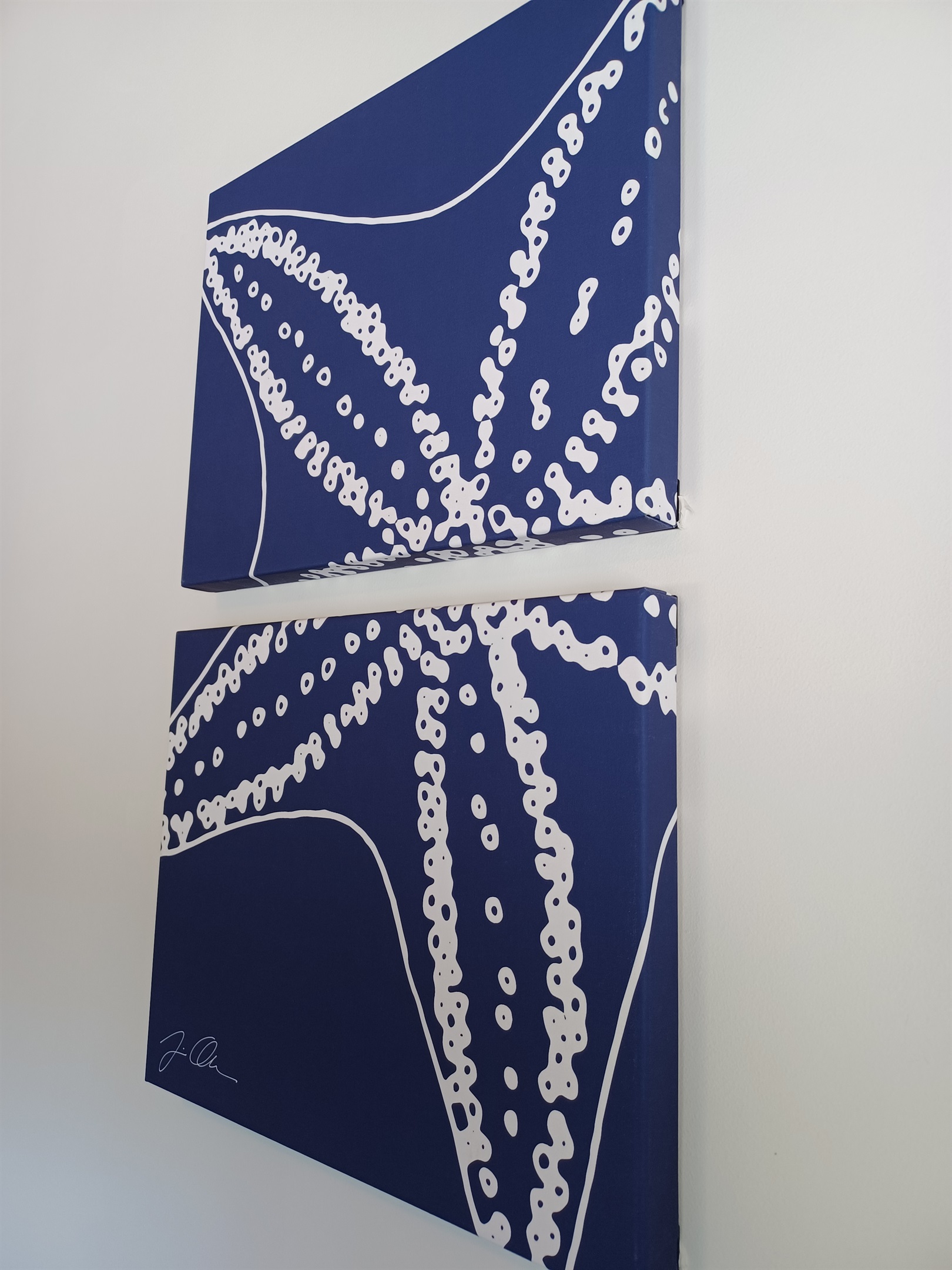 Starfish decorations