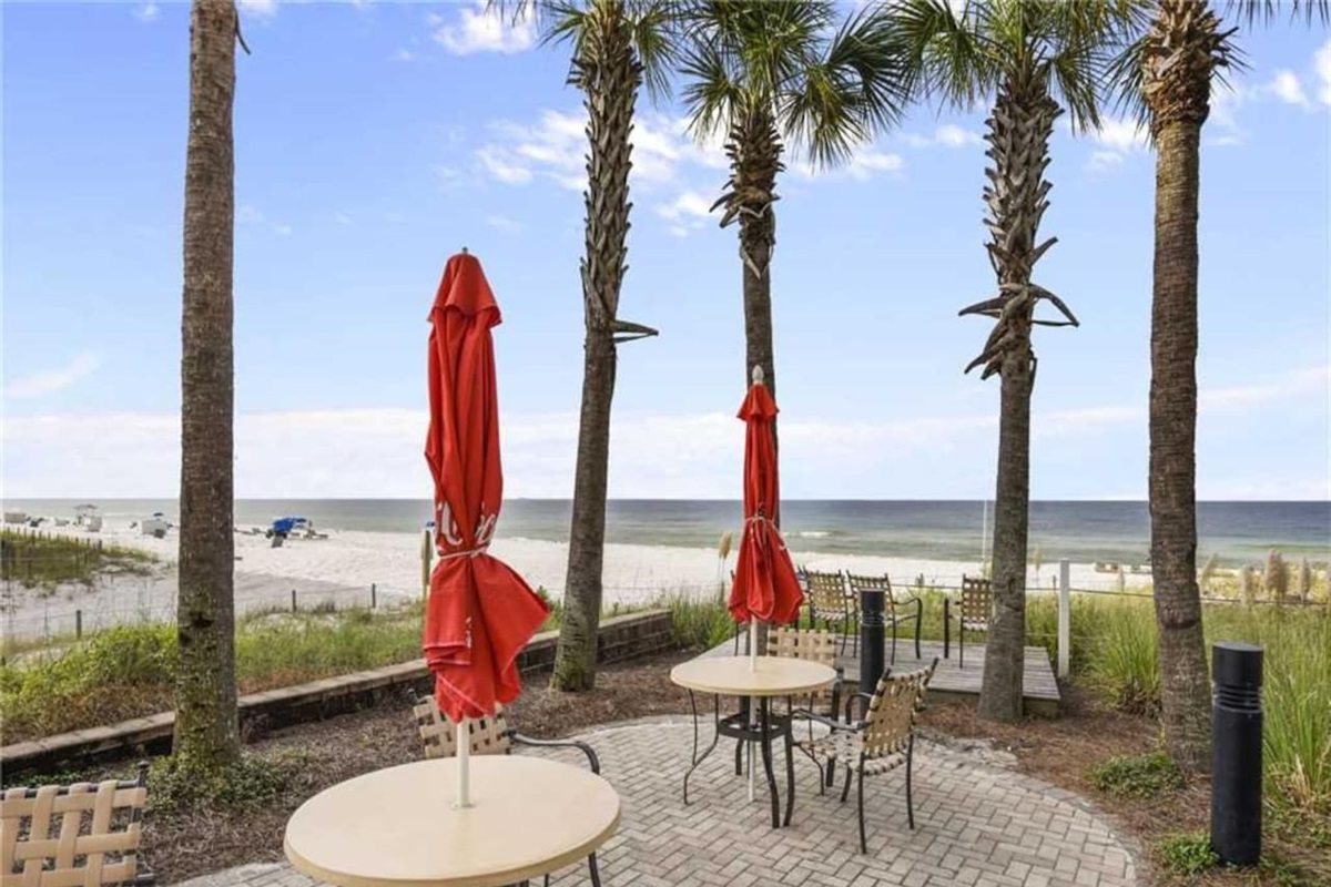 A lovely spot next to the palm trees to sit and sip on your favorite tropical drink or have a snack, as the tropical breeze blows through your hair and the waves roll in. (Can't you hear them now? )