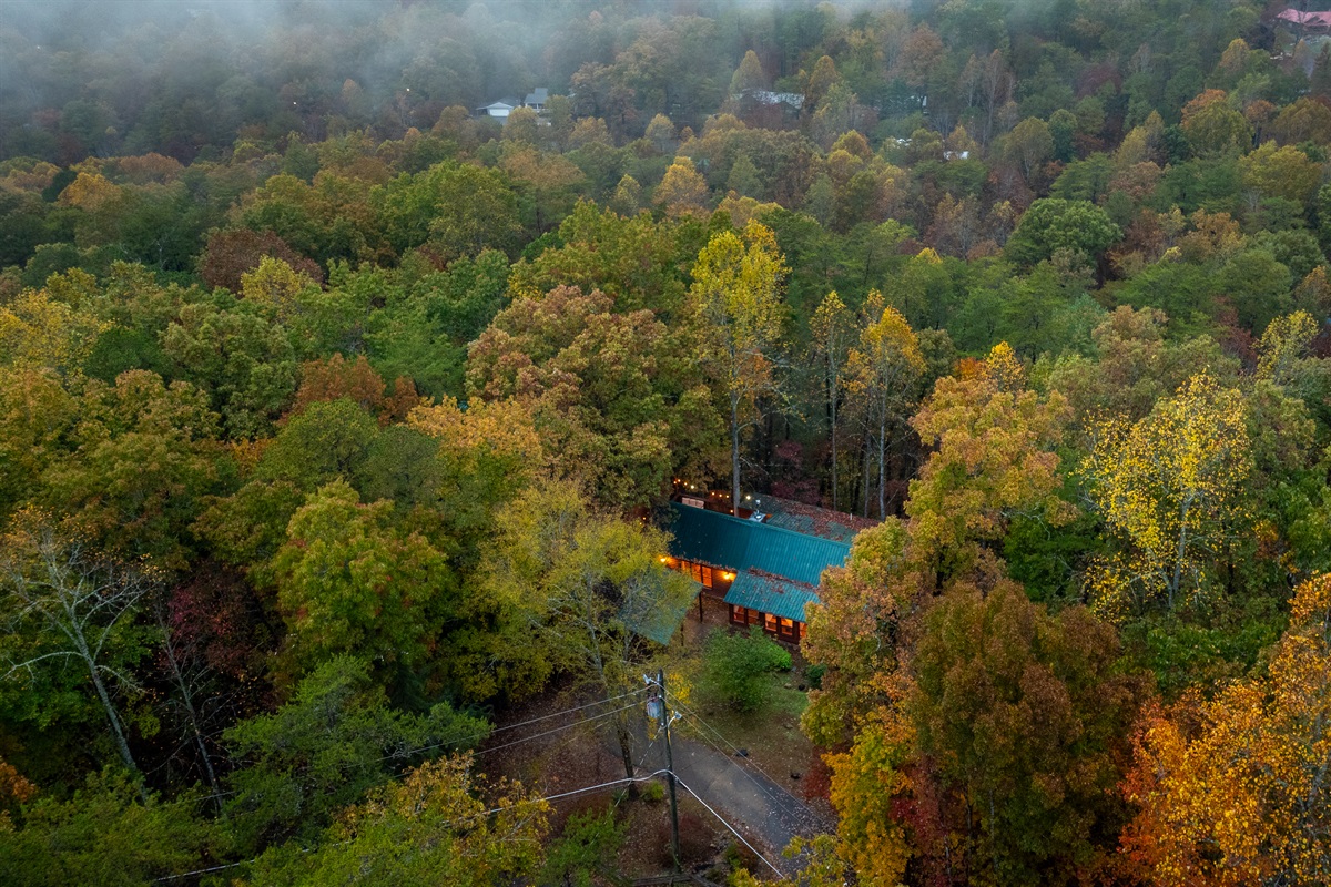 Surrounded by the woods, minutes away from town