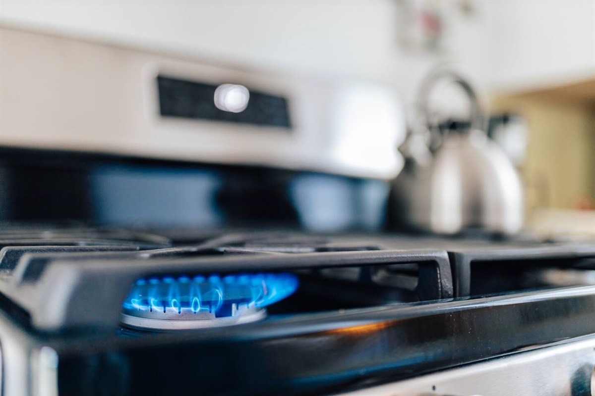 gas range and cook top