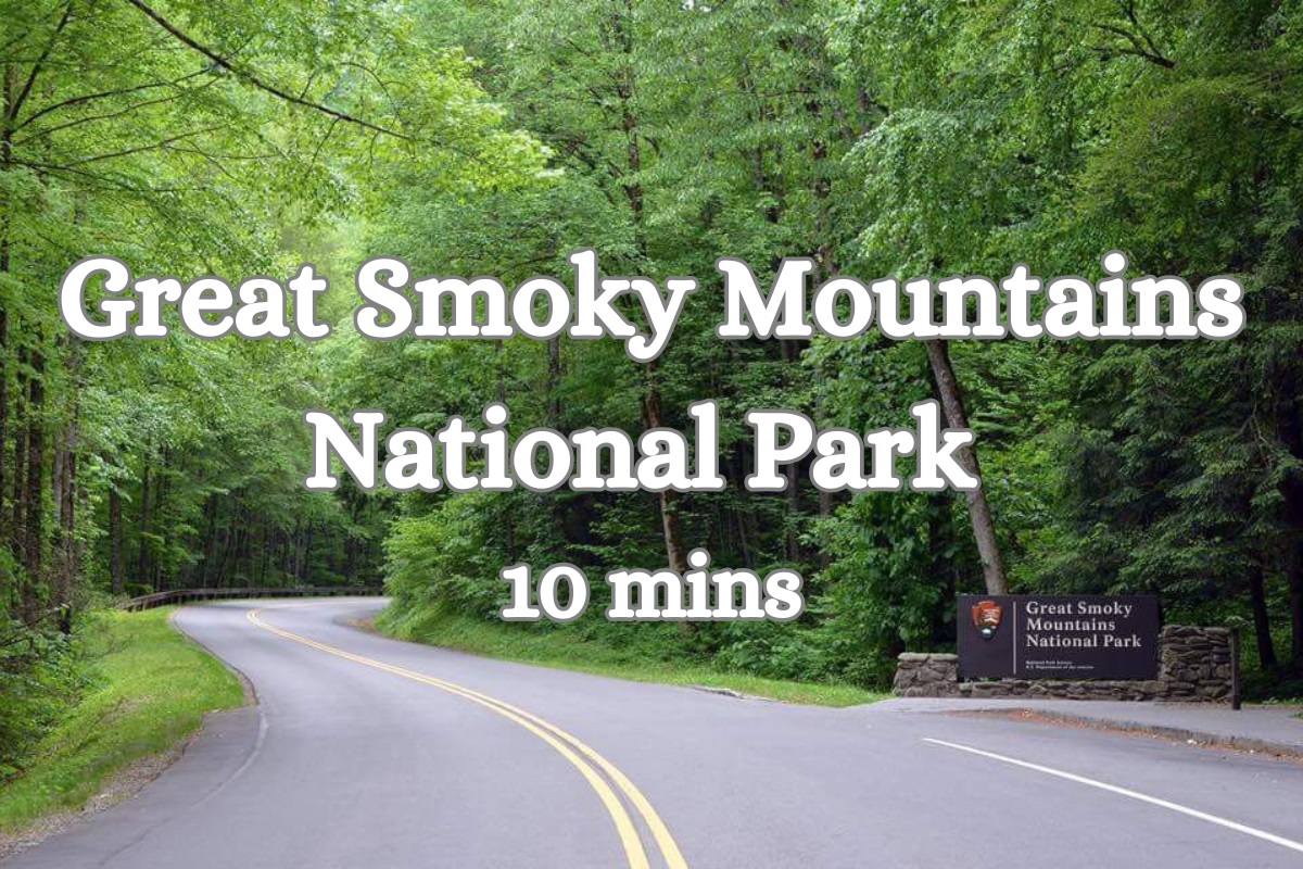 Local Adventure: Explore the Great Smoky Mountains National Park just 10 minutes away!