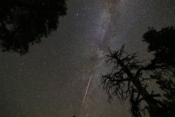 Amazing night sky.  Milky Way and a meteor.