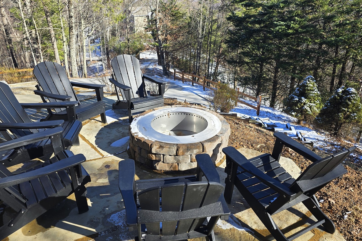 A snowy day in the backyard