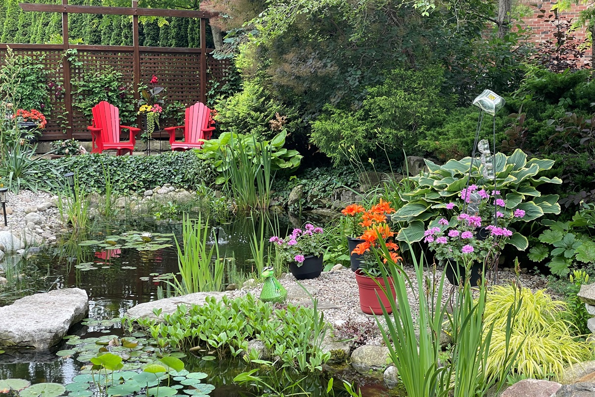 Red Chairs in the shade