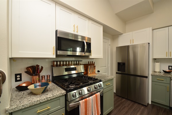 Gas Stove and Refrigerator