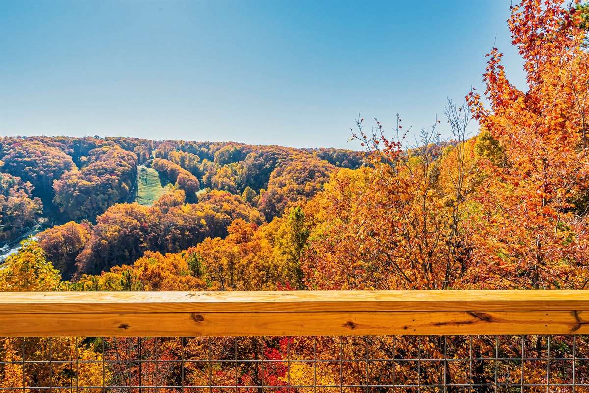 Fall foliage views from the house