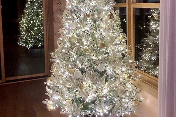 Holiday magic in every sparkle ✨ This cozy corner at The Hummingbird Hearth is glowing just for you.