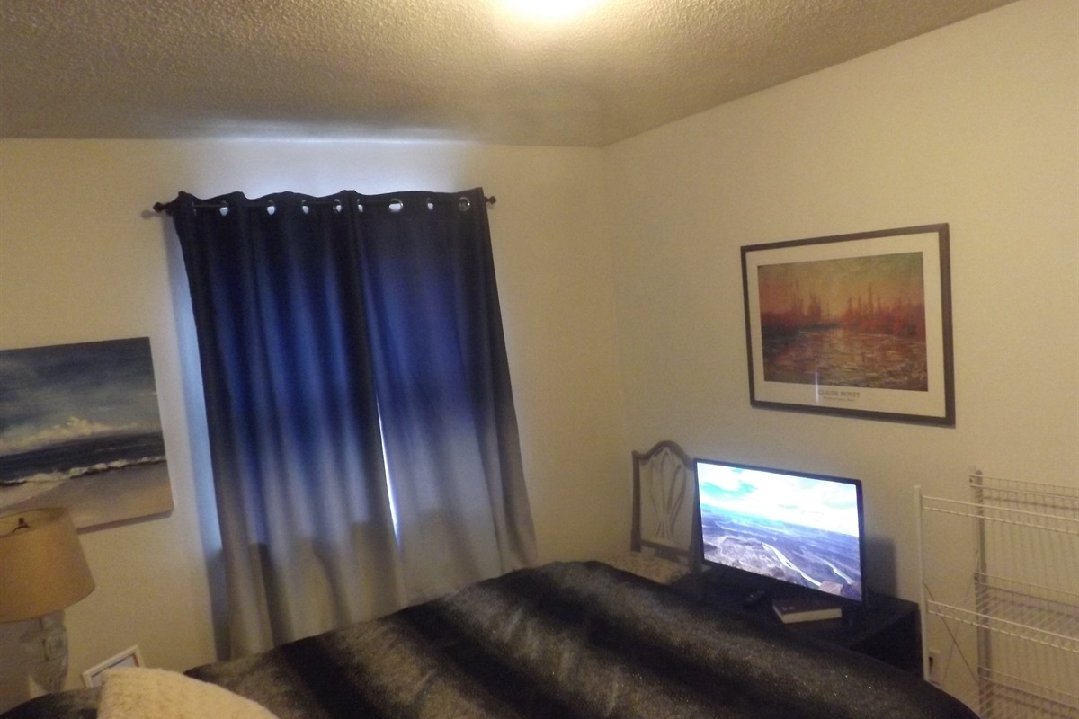 Queen bed with Roku smart TV
