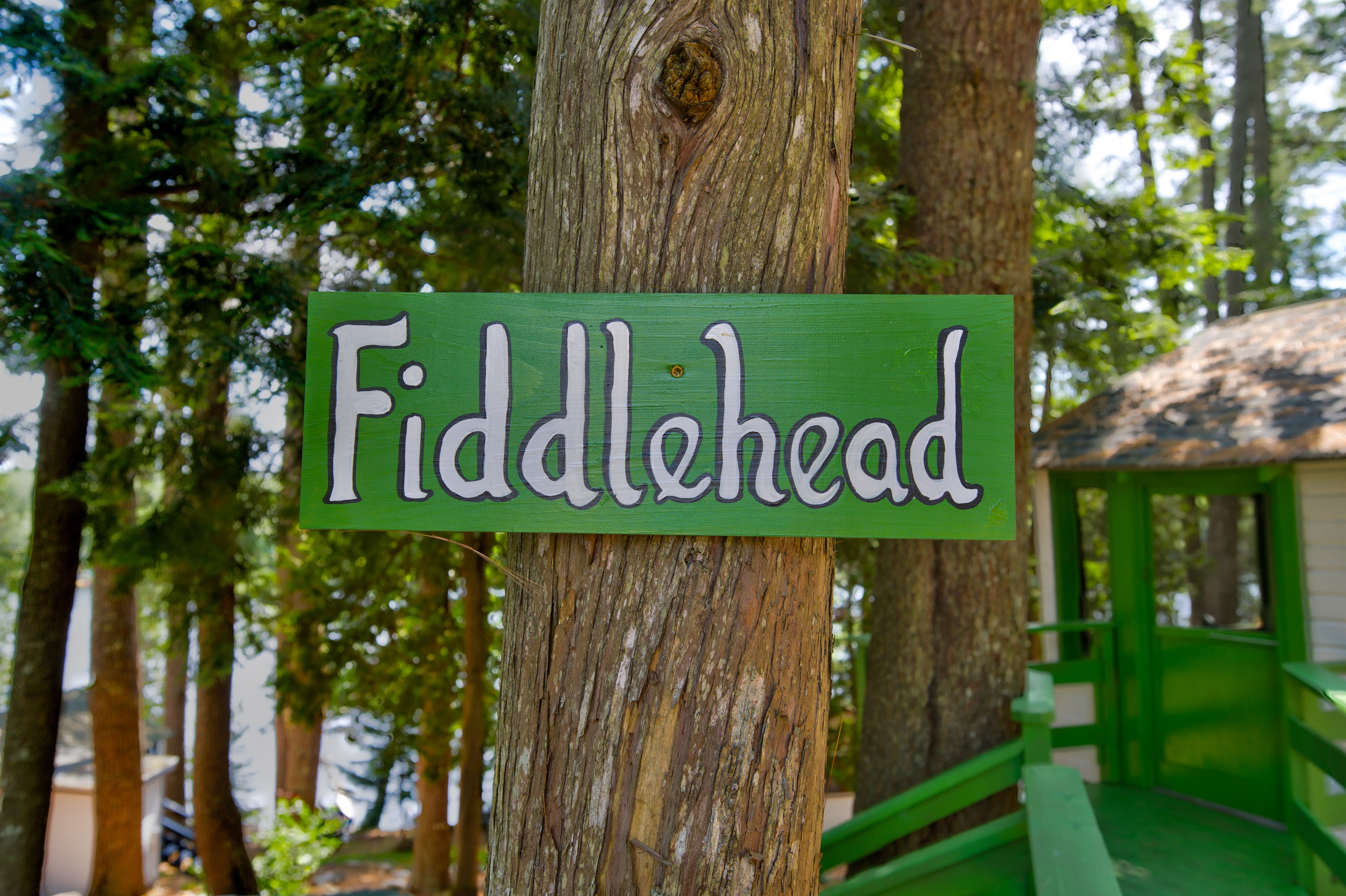 FIDDLEHEAD cabin signal