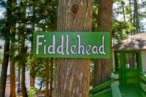 FIDDLEHEAD cabin signal
