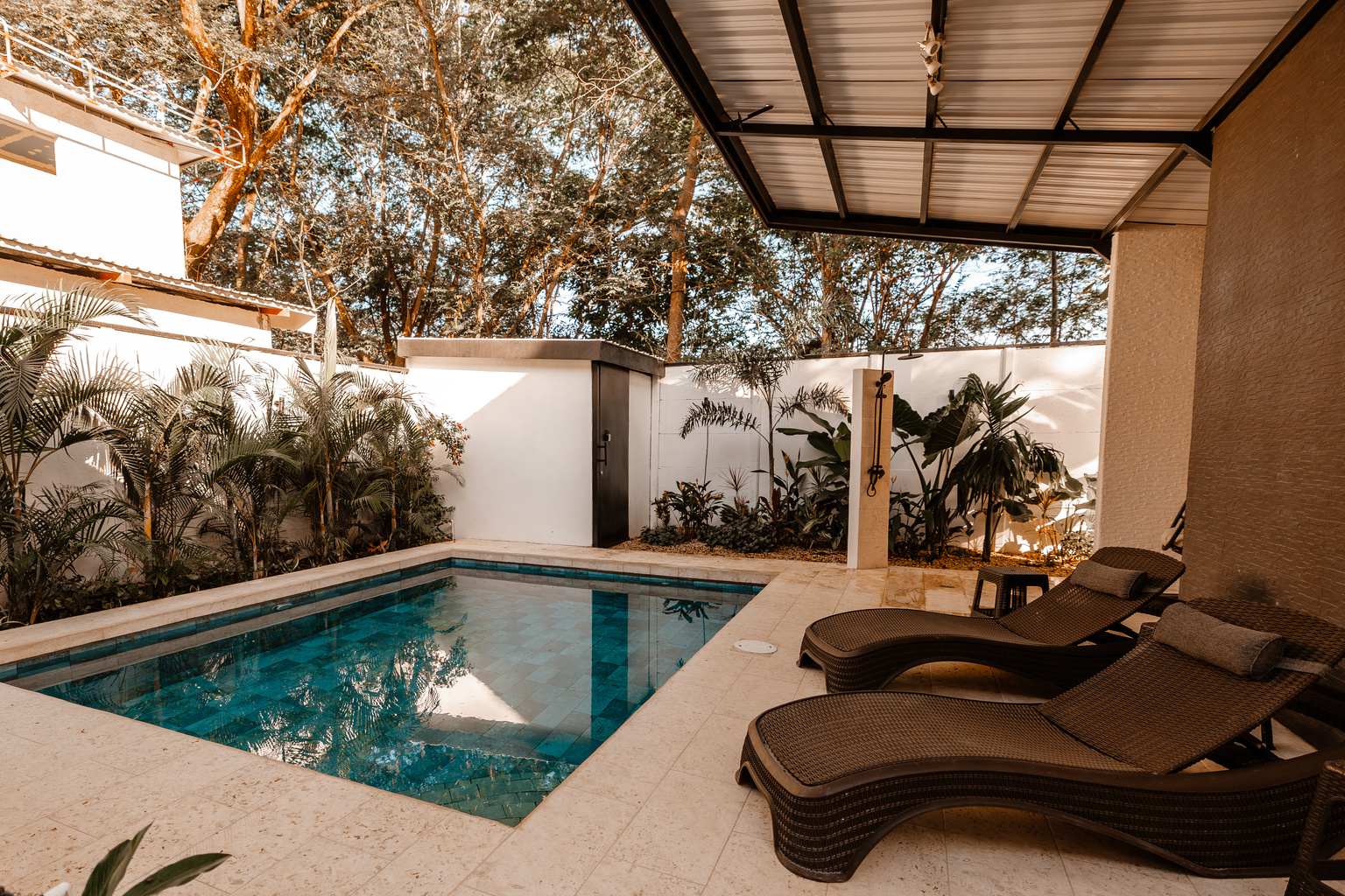 Casa Ola: the pool, framed by palms with a covered pool deck and outdoor shower.