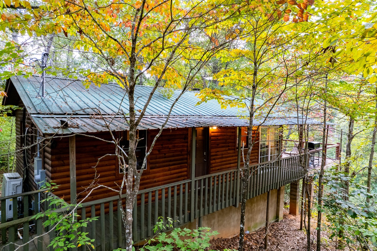 side view of the cabin for the main level entry door. 