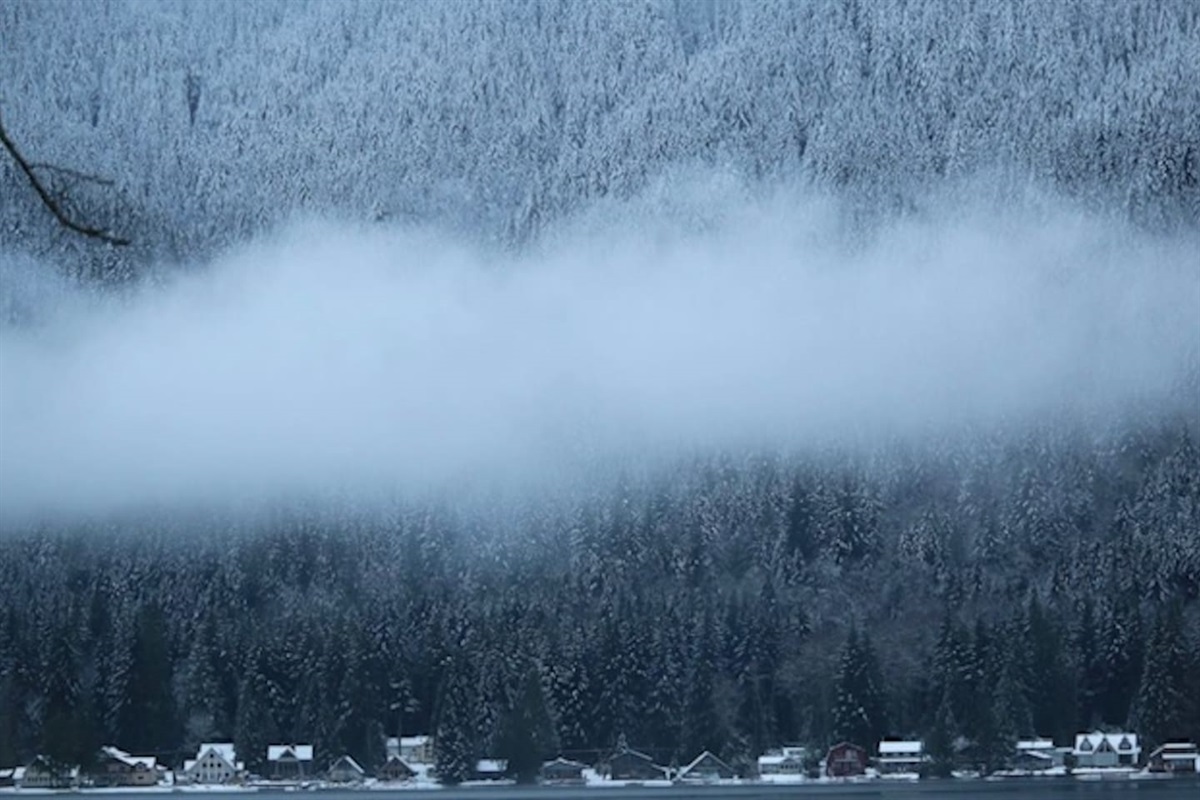 Winter landscape with fog and snow-dusted hills.